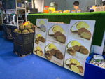 Poster Board Cut - Out
